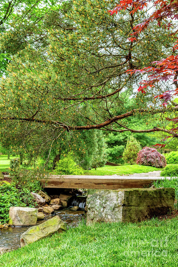 Spring Season Zen Garden Photograph by Jennifer White