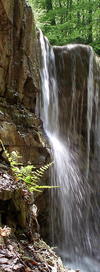 Waterfalls in Short Hills Park in Niagara Photograph by Kenneth Lane Smith