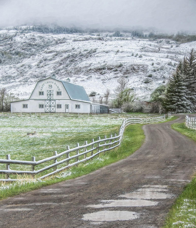 Spring Snow in Paradise Valley, Montana Photograph by Marcy Wielfaert