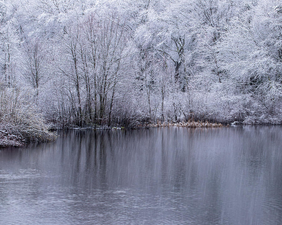 Spring Snow Photograph by William Bretton