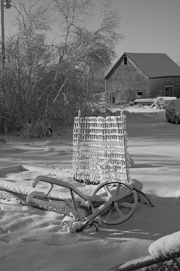 Spring Snowstorm Photograph by Sue Capuano