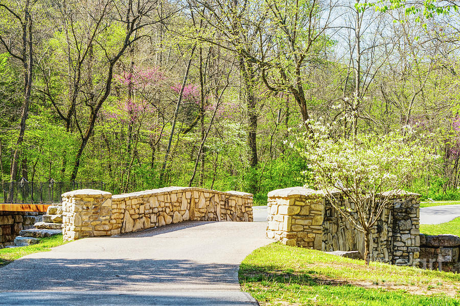 Spring Stone Bridge Photograph by Jennifer White