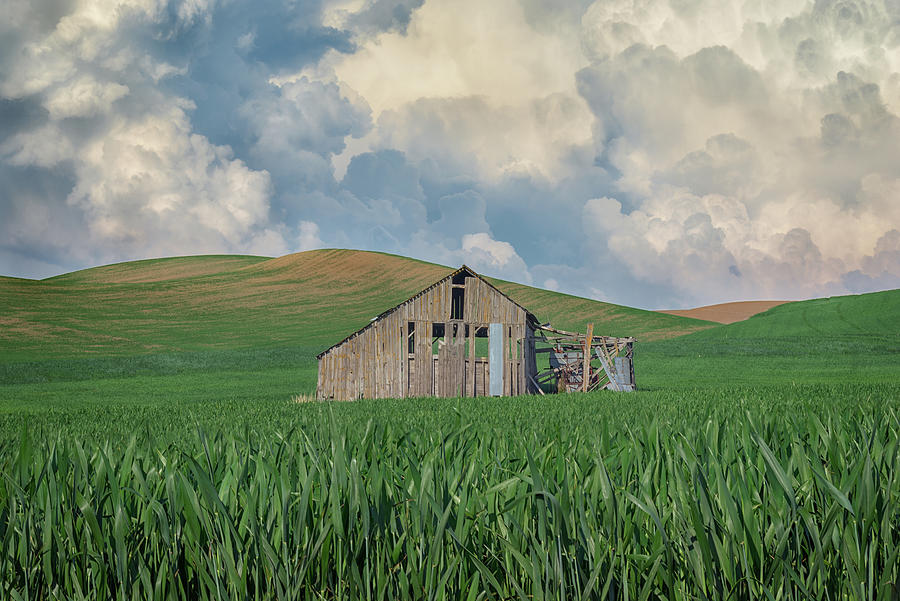 Spring Storm in the Palouse Photograph by Kristen Wilkinson