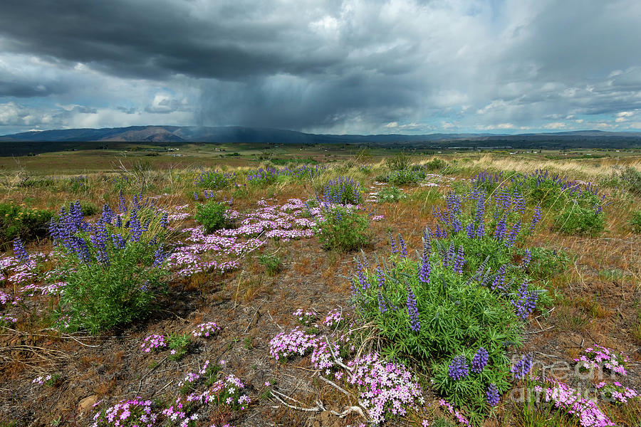 Spring Storm Over Mt. Clemans Photograph