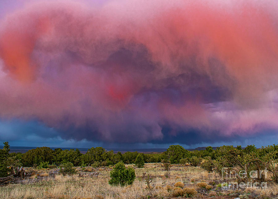 Spring Storm Photograph by Steven Natanson