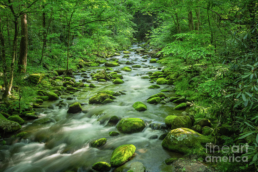 Spring Stream of Little River Photograph by Maria Struss Photography