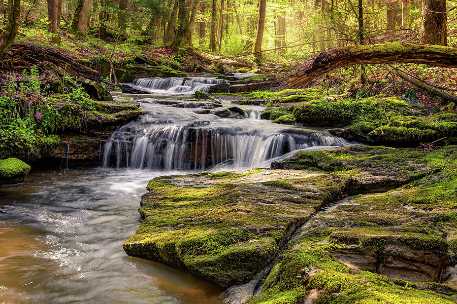 Spring Stream Photograph by SC Shank