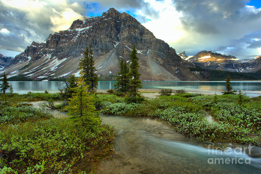 Spring Streams Into Bow Lake Photograph by Adam Jewell