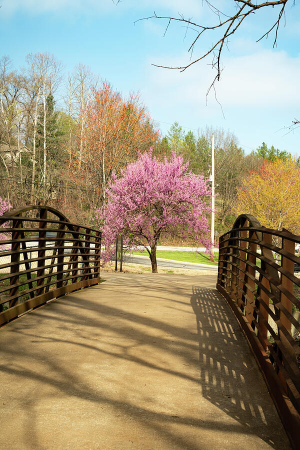 Spring Stroll Along The North Bentonville Trail Photograph by Gregory Ballos Spring Stroll Along The North Bentonville Trail Photograph by Gregory Ballos