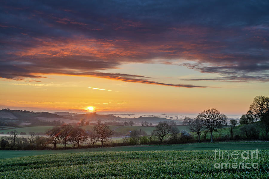 Spring Photograph - Spring Sunrise Across the Oxfordshire Countryside by Tim Gainey