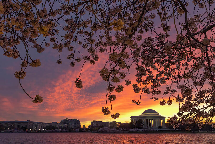 Spring Sunrise at Tidal Basin Photograph by Art Cole