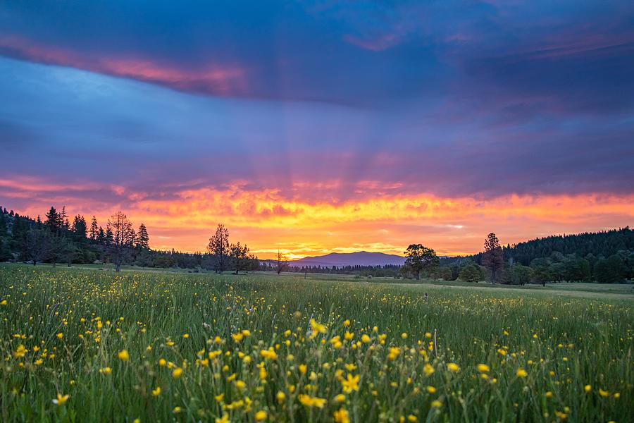 Spring Sunrise Photograph by Randy Robbins