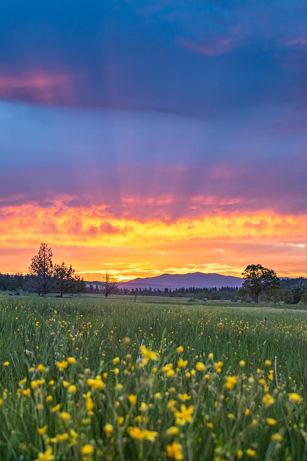 Spring Sunrise re-crop Photograph by Randy Robbins