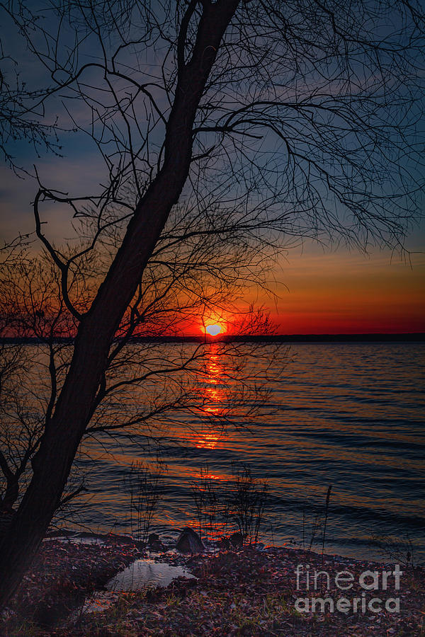 Spring Sunrise Photograph by William Norton
