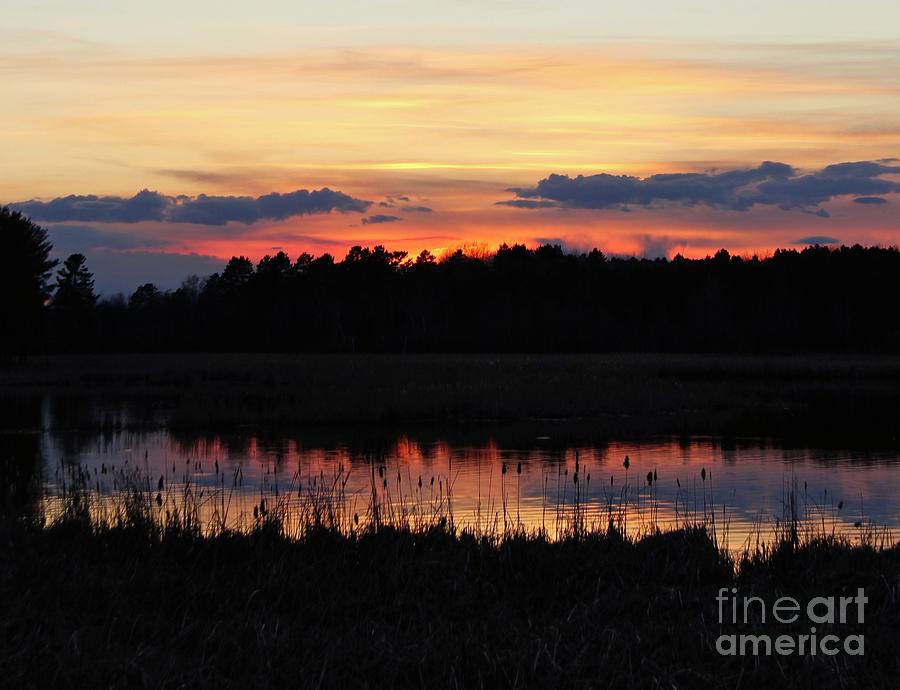 Spring Sunset Photograph by Ann Brown