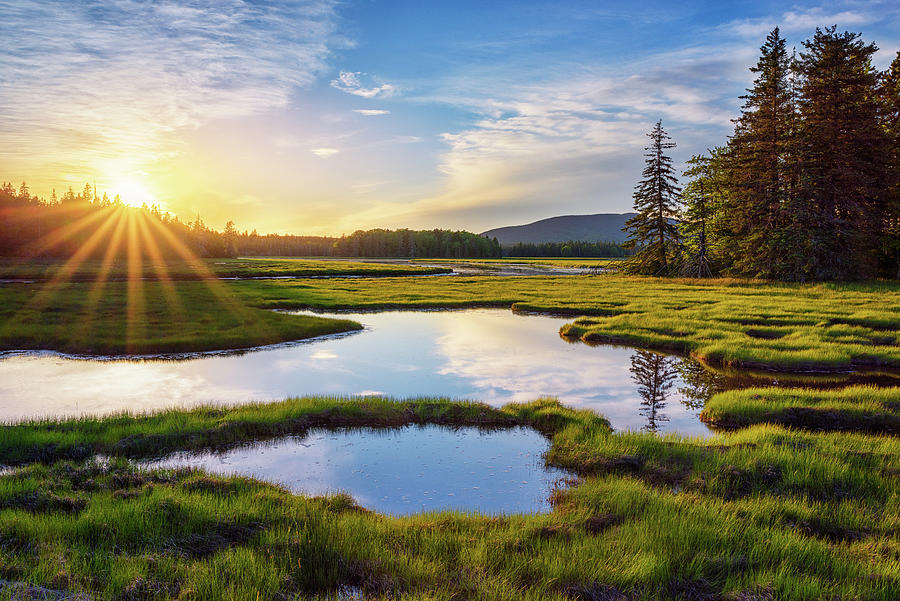 Spring Sunset at Bass Harbor Marsh Photograph by Kristen Wilkinson