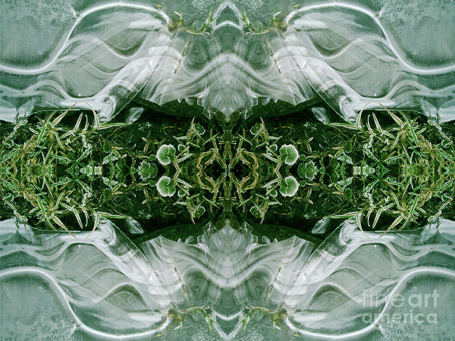 Spring Symmetry 11 Digital Art by David Hargreaves