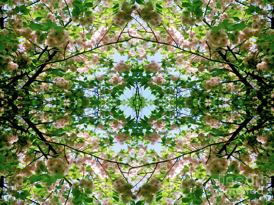 Spring Symmetry 23 Digital Art by David Hargreaves