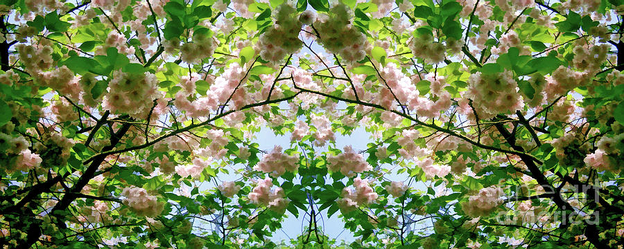 Spring Symmetry - Cycle 13 Digital Art by David Hargreaves
