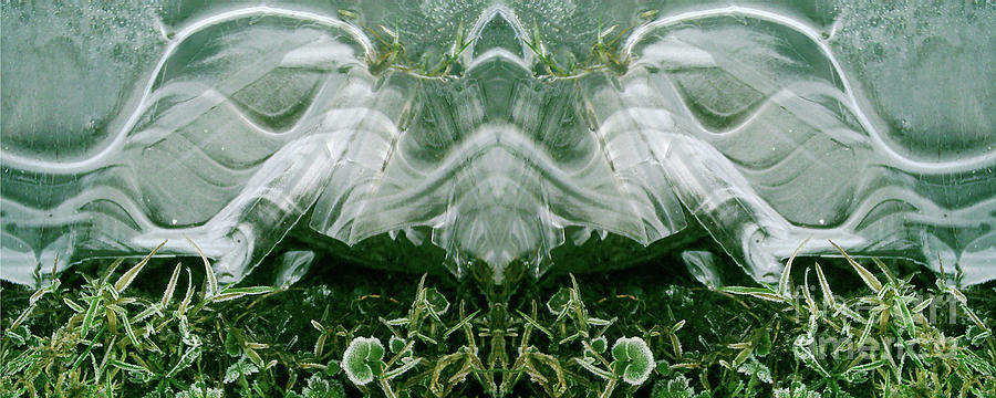 Spring Symmetry - Cycle 7 Digital Art by David Hargreaves