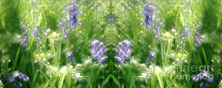 Spring Symmetry - Cycle 9 Digital Art by David Hargreaves