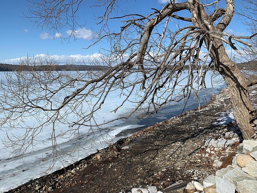 Spring Thaw by the Lake Photograph by Stacy Dostie - Fine Art America