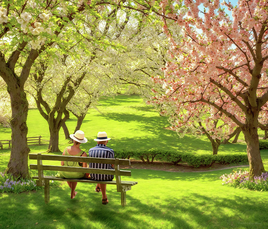 Spring - The age of retirement Digital Art by Mike Savad