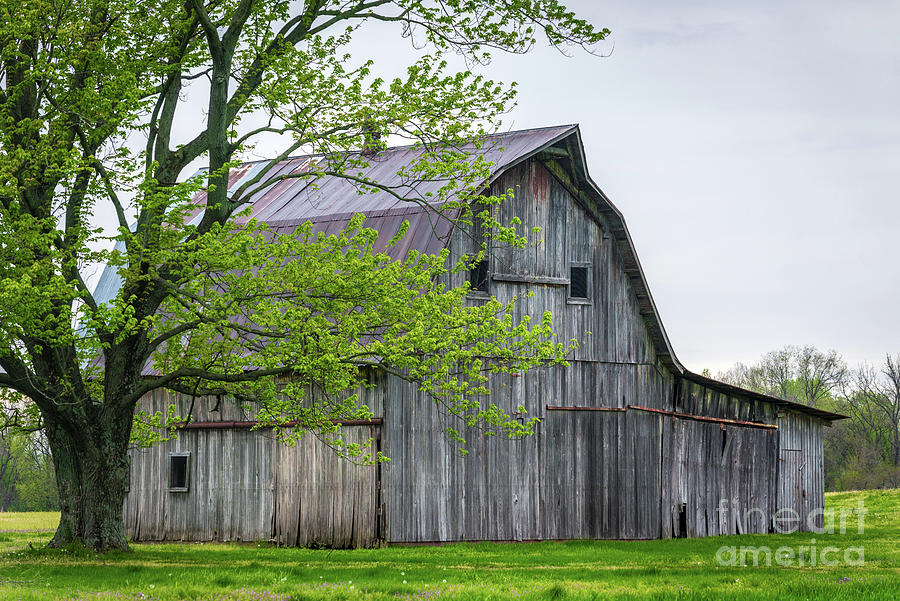 Spring Time Farm - Barn - Vallonia - Indiana Photograph by Gary Whitton