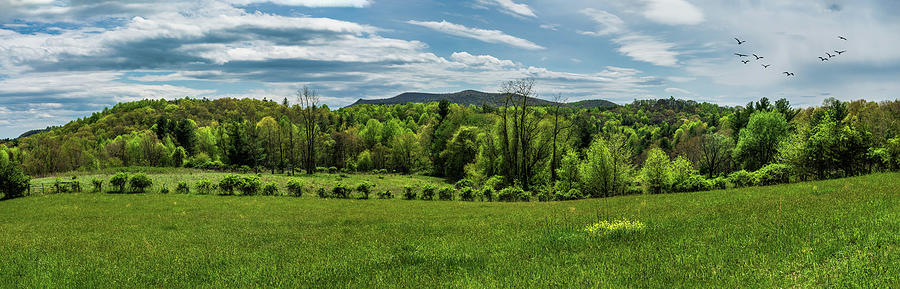 Spring Time in the Mountains Panorama 503 Photograph by Dan Carmichael