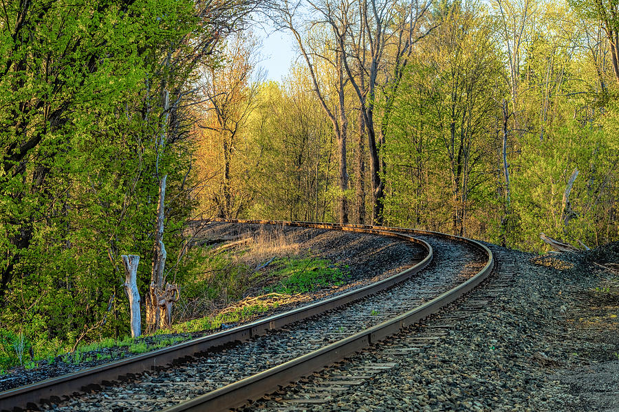 Spring Tracks Photograph by Rod Best