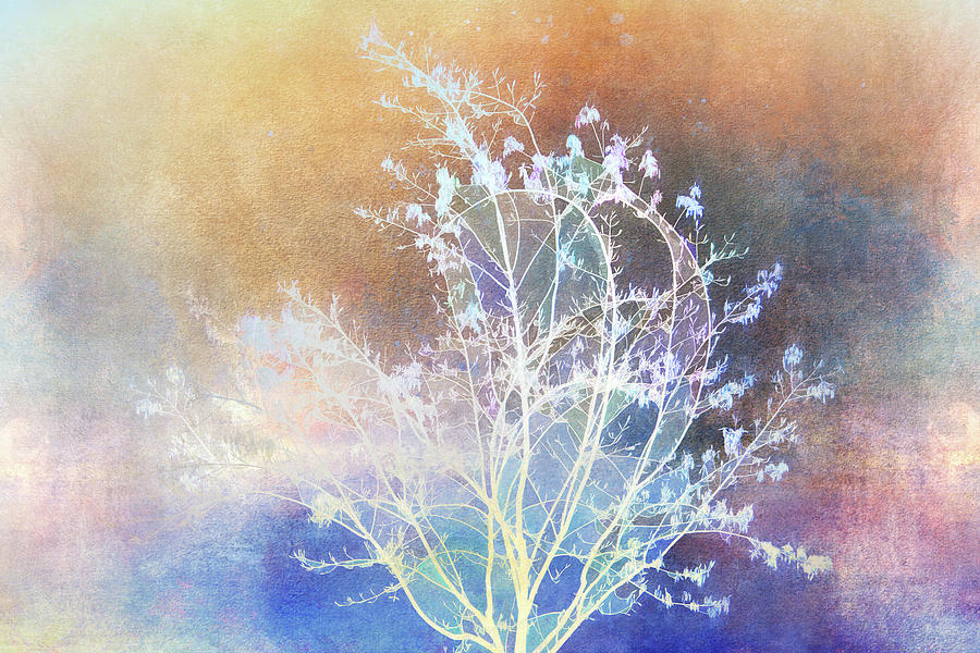 Spring Tree at Dawn Digital Art by Terry Davis