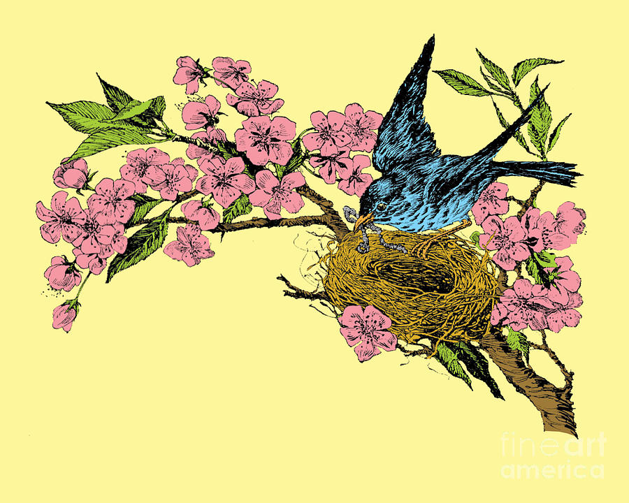 Flower Digital Art - Spring Tree With Bird by Madame Memento
