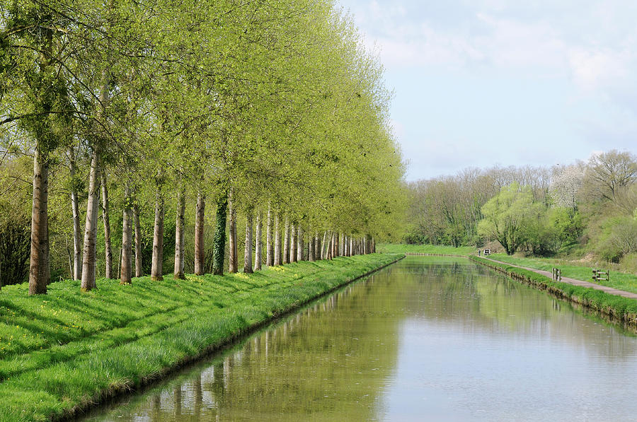 Spring trees along the Nivernais Canal, Burgundy, France Photograph by Kevin Oke
