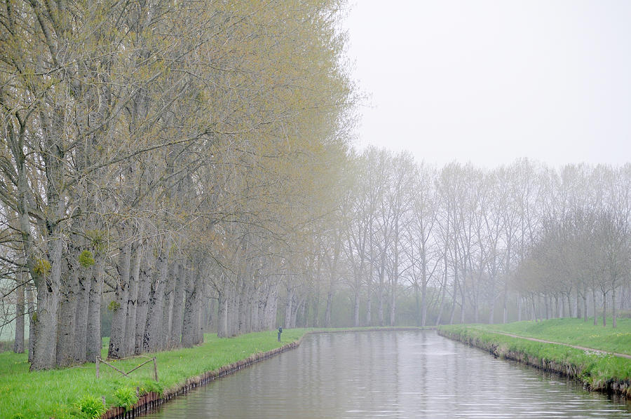 Spring trees and lush undergrowth along the banks of the Nivernais Canal, Burgundy, France Photograph by Kevin Oke
