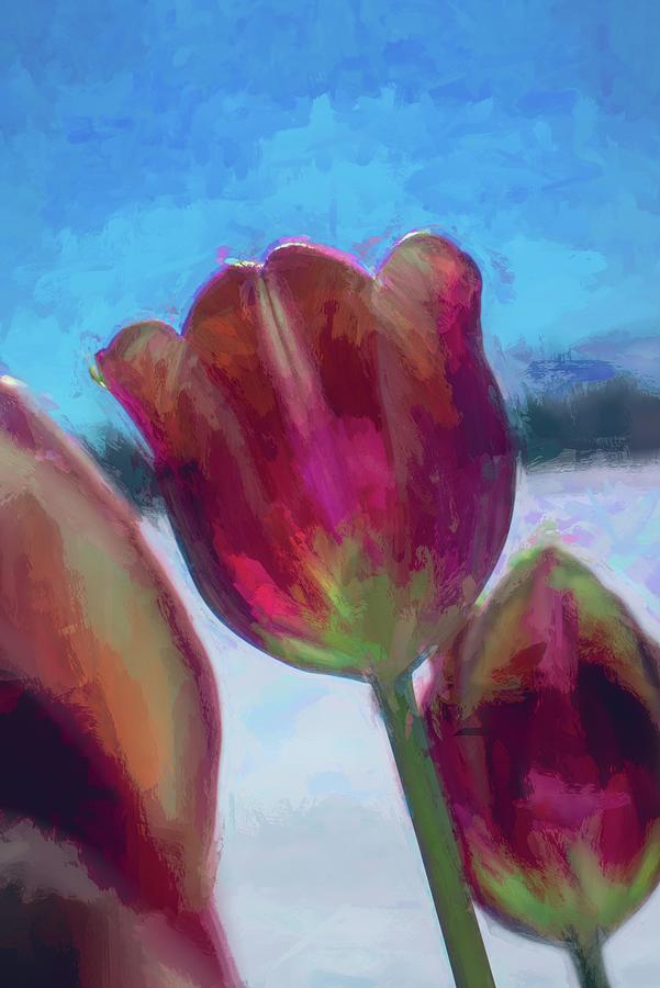 Spring Photograph - Spring Tulip Painterly by Cathy Mahnke
