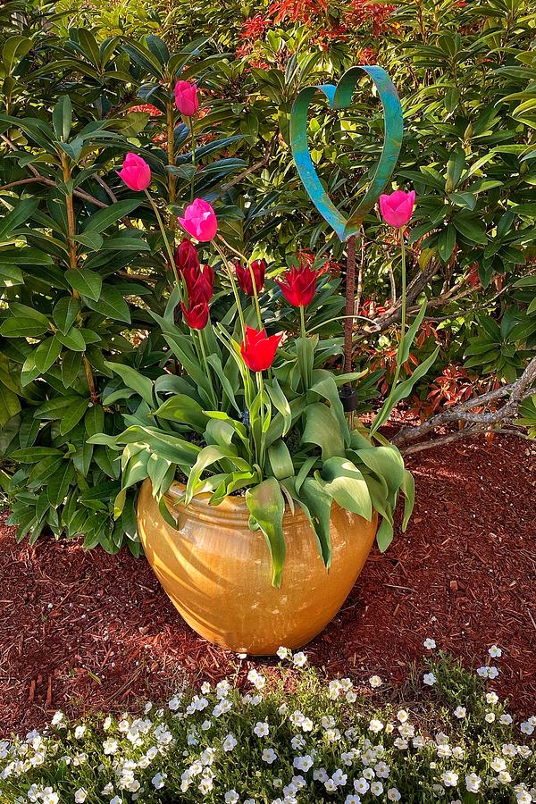 Spring Tulips  Photograph by Jerry Abbott