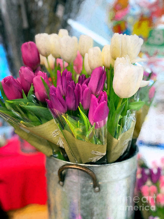Spring tulips for sale Photograph by Janice Drew