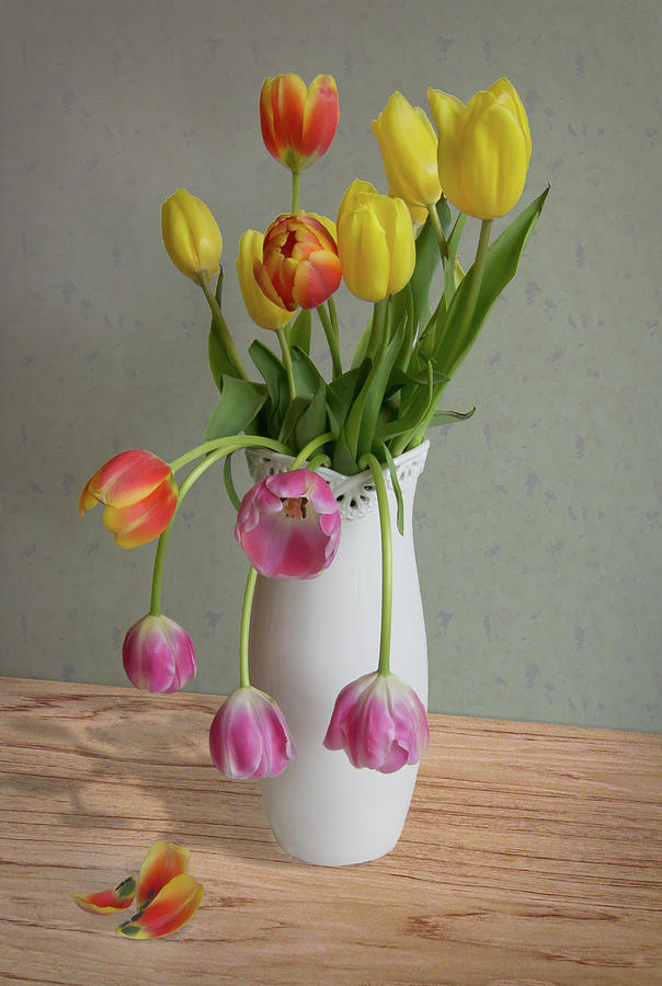 Spring Tulips in White Vase - Wood Table Photograph by Patti Deters