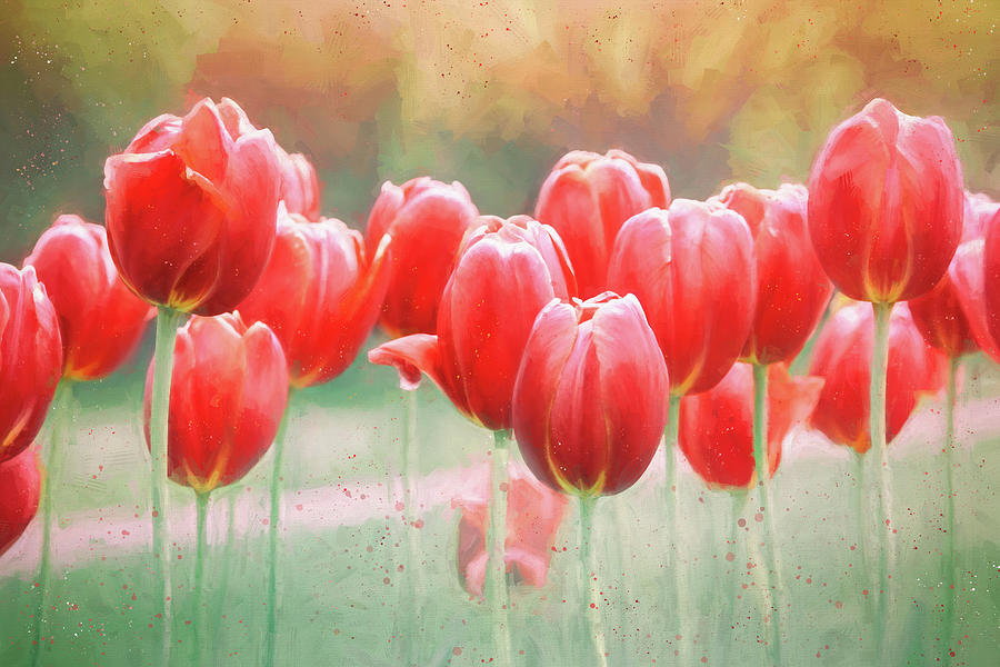Spring Tulips Painterly Reds Photograph