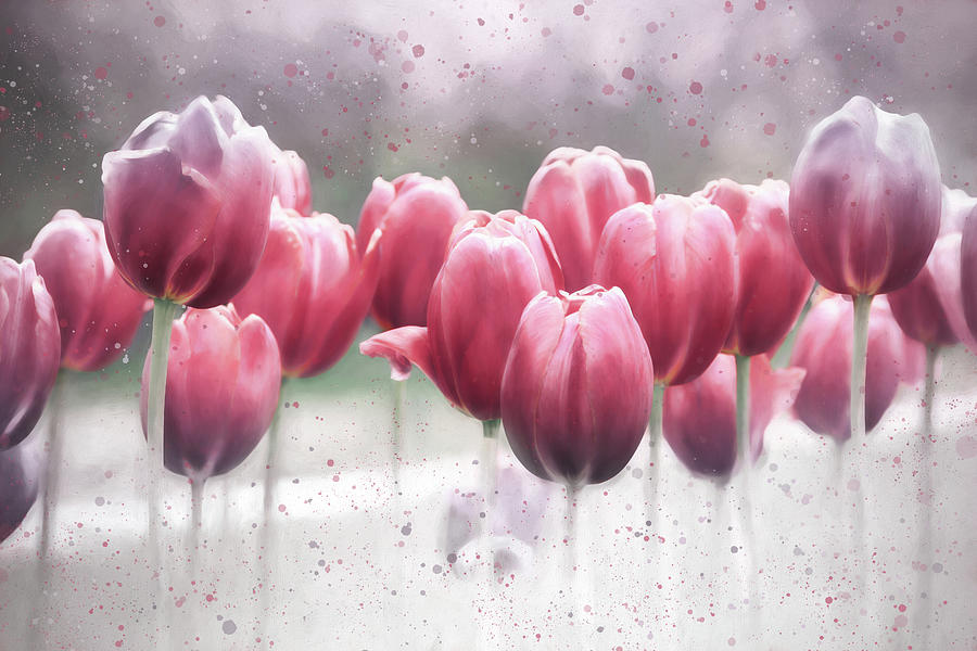 Spring Tulips Subtle Reds Photograph