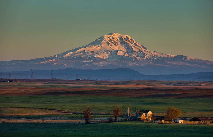 Spring view of Mount Adams Photograph by Lynn Hopwood