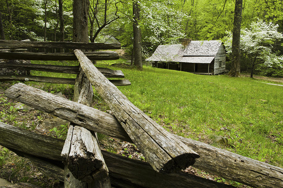 Spring view of Noah Bud Ogle Cabin. Photograph by Robert Cable