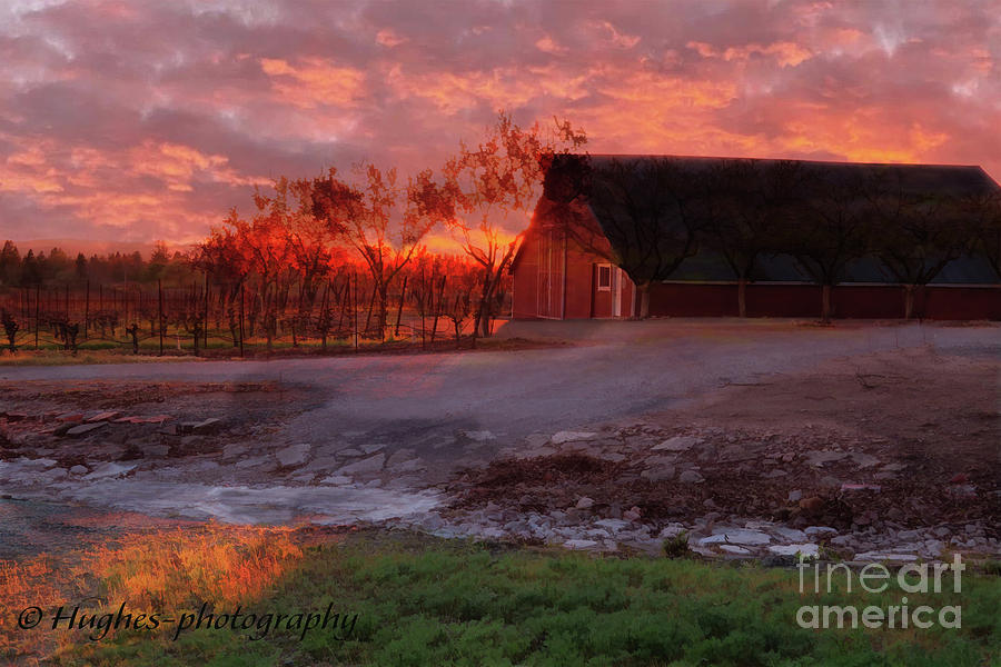 Spring Vineyard Sunset Digital Art by Melinda Hughes-Berland