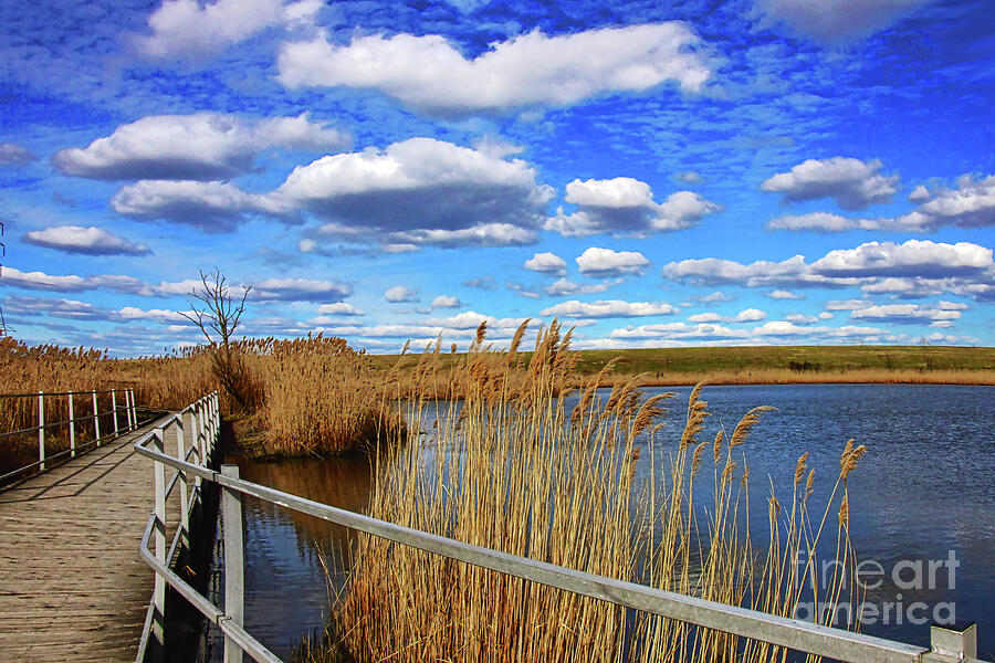Marsh Photograph - Spring Walk NJ Meadowlands by Regina Geoghan