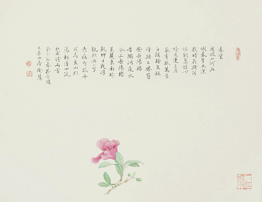 Spring Watch by Yu Hui Spring Watch by Yu Hui
