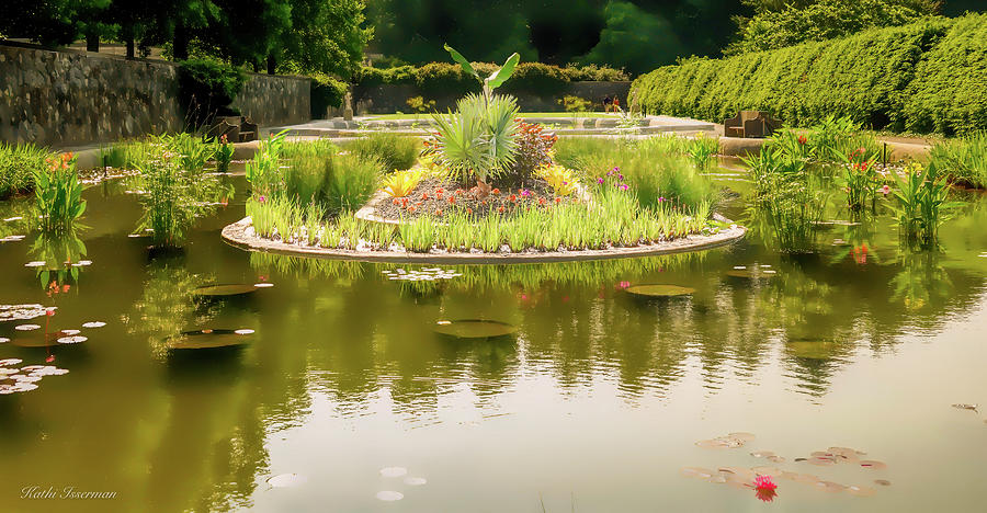 Spring Water Garden Photograph by Kathi Isserman