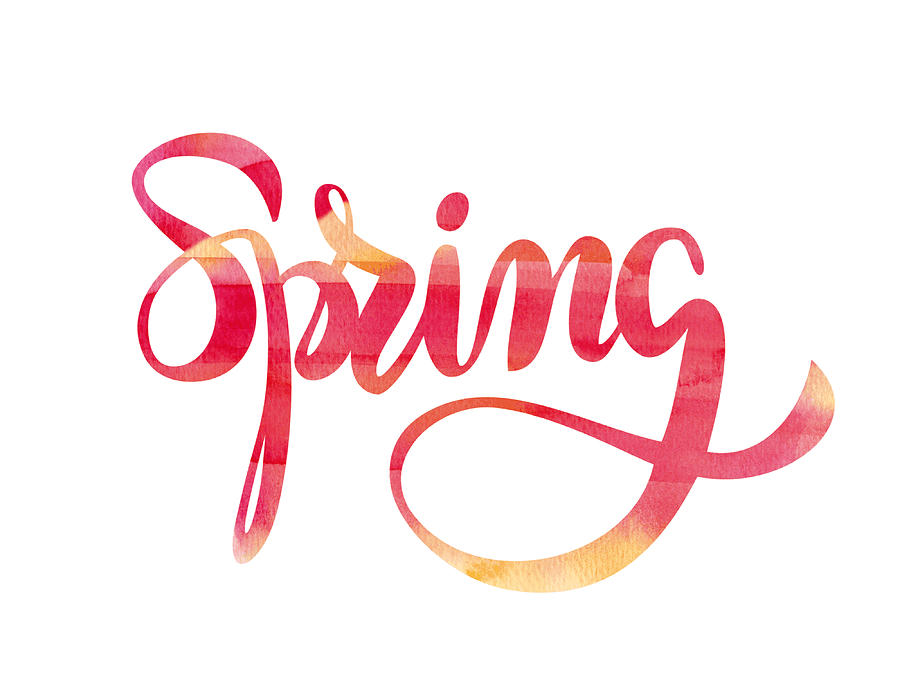 Spring watercolor typography Drawing by Ollustrator