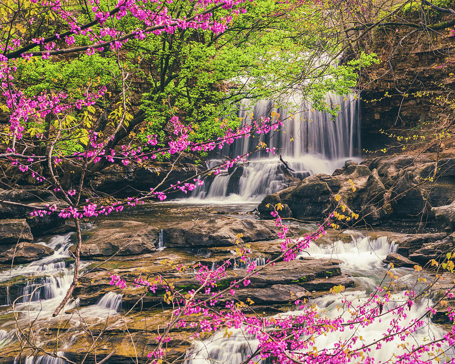 Waterfall Photograph - Spring Waterfall Along Tanyard Creek Bella Vista Arkansas by Gregory Ballos