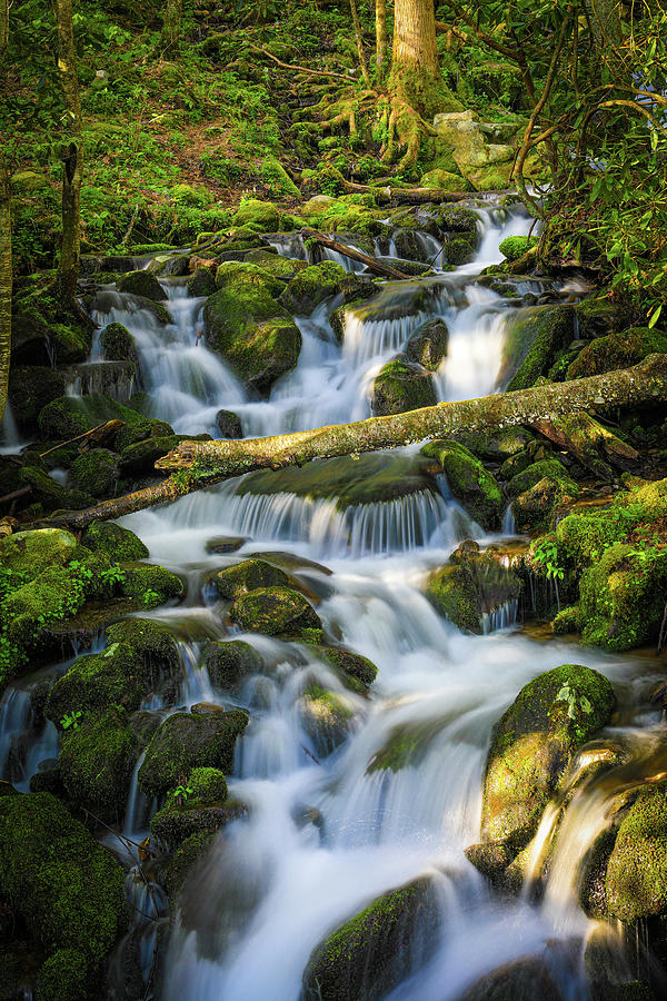 Spring Waterfall In Smoky Mountains Photograph by Dan Sproul