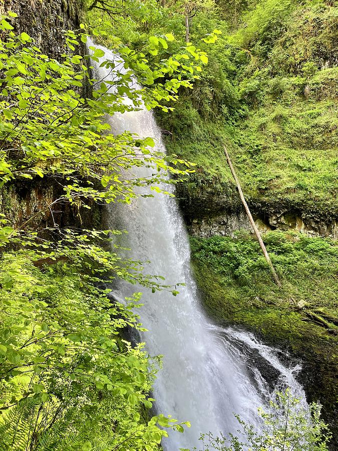 Spring Waterfall Photograph by Kelly Headrick - Fine Art America